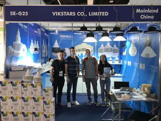 Vikstars Co., Limited üreticinin üretim hattı